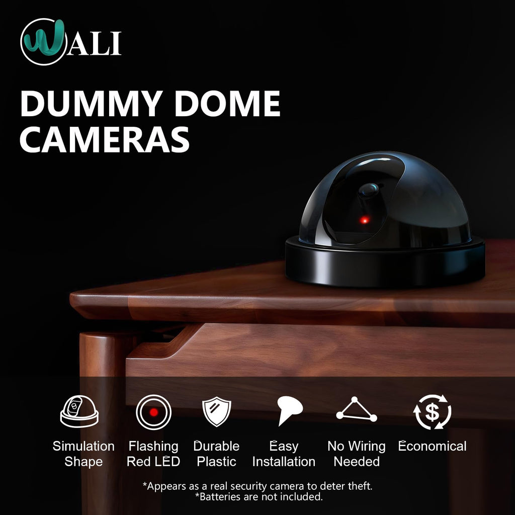 WALI CCTV Dome Fake Camera with Flashing Red Light, 2 Pack, White (SDW-2)