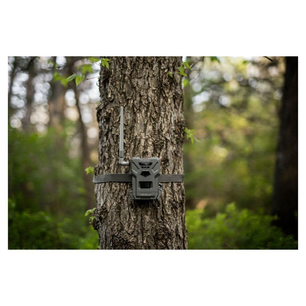 SPYPOINT Flex-M Twin, Cellular Trail Camera, Night Vision, Free Photo Plan