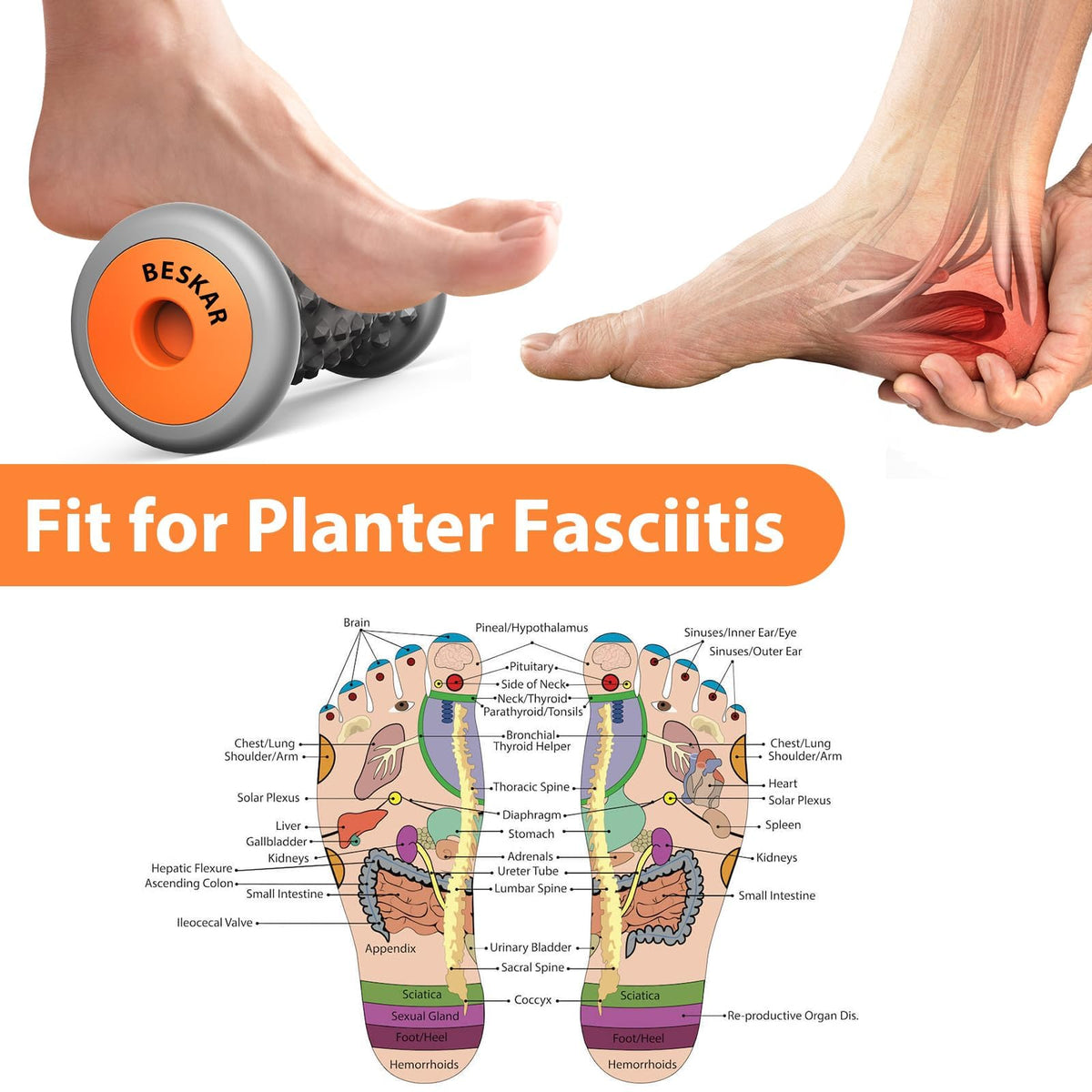 BESKAR Foot Massager Roller for Plantar Fasciitis Relief