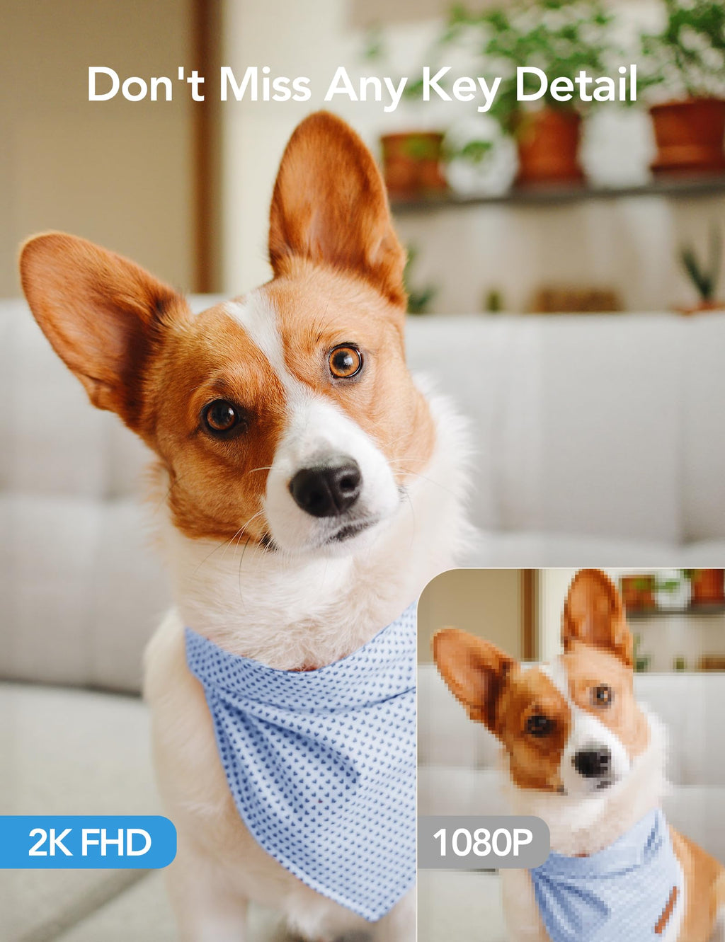 GNCC 5G Cameras for Home Security Indoor, Pet/Dog/Baby w Phone App, 4Pcs