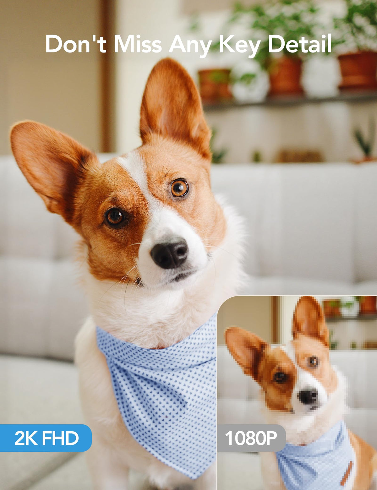 GNCC 5G Cameras for Home Security Indoor, Pet/Dog/Baby w Phone App, 4Pcs