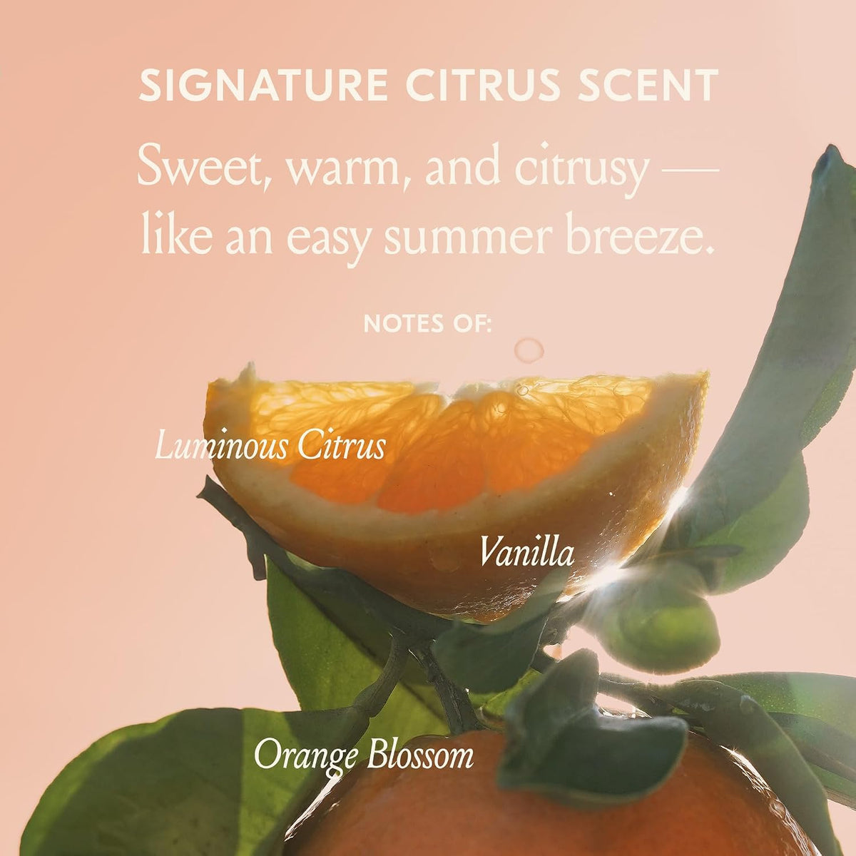 DAE Cactus Fruit 3-in1 Styling Cream & Taming Wand - Tames Flyaways
