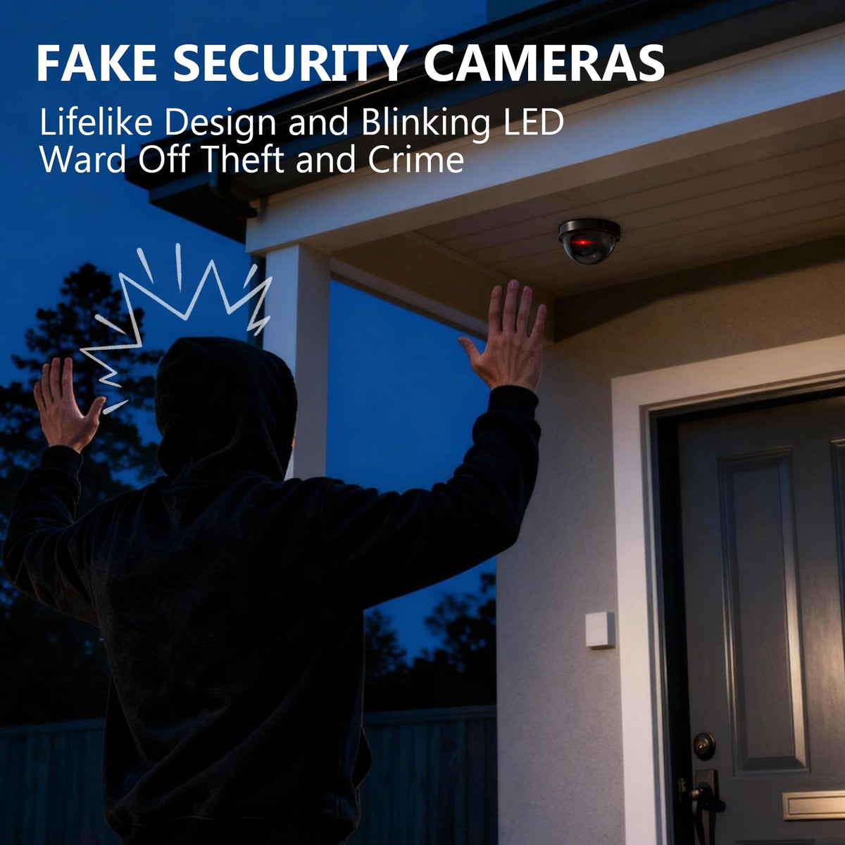 WALI CCTV Dome Fake Camera with Flashing Red Light, 2 Pack, White (SDW-2)
